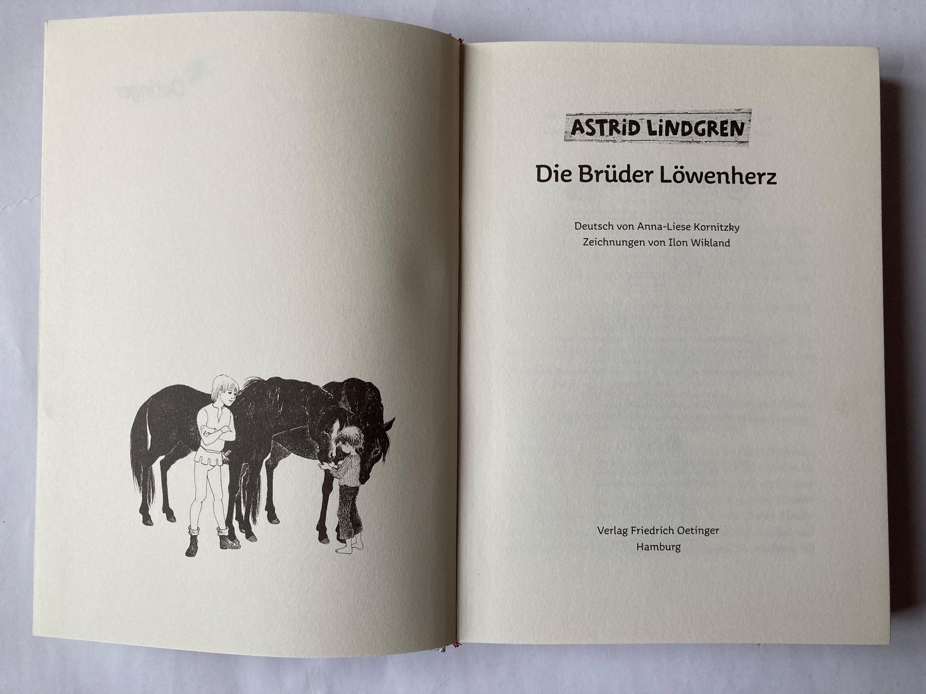 Libri: Die Brüder Löwenherz - Astrid Lindgren – Nuovo (secondo la descrizione) da Bubendorf venduto da Alpenheidi 2