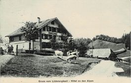 Gruss vo LÜDERENGÄSSLI - Hotel zu den Alpen Wasen? gel. 1911