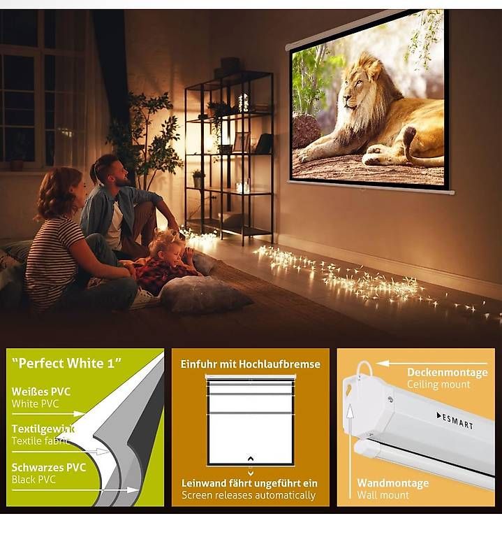 Schermi: Leinwand – Usato da Bern venduto da Wim_tr5x