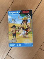 Playmobil Asterix 71545