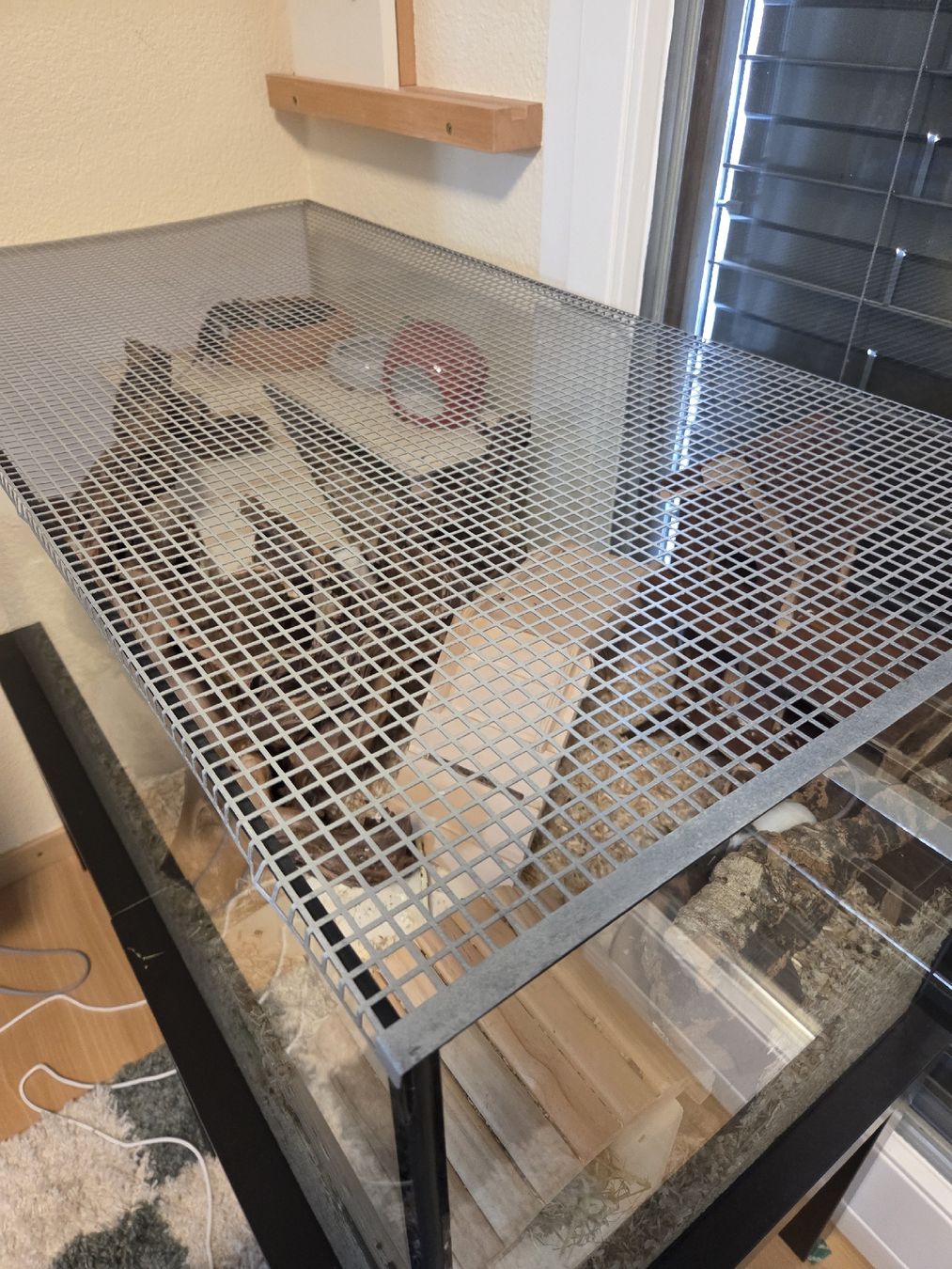 Terrario: Kleintierkäfig / Terrarium – Usato da Uetendorf venduto da mml_9xjd 1