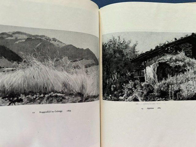 Libri: Frank Buchser, Schweizer Heimatbücher, Gottfried Wälchli – Usato da Bern venduto da oregonzwei 8