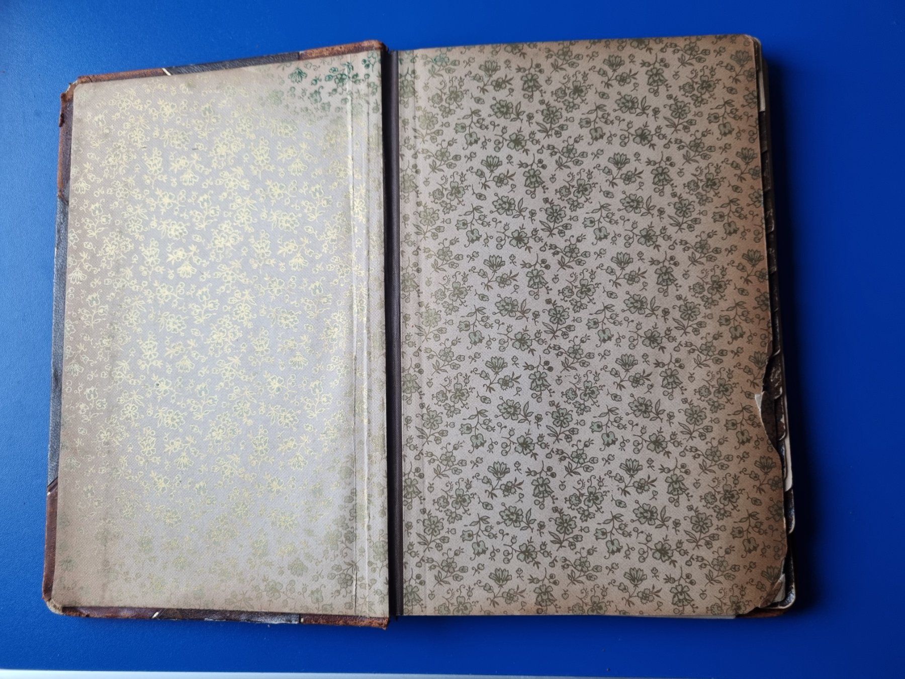 Libri: Buch Koch Rezepte – Difettoso da Schaffhausen venduto da Leveron13 8