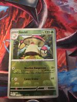 Gaulet Masterball 