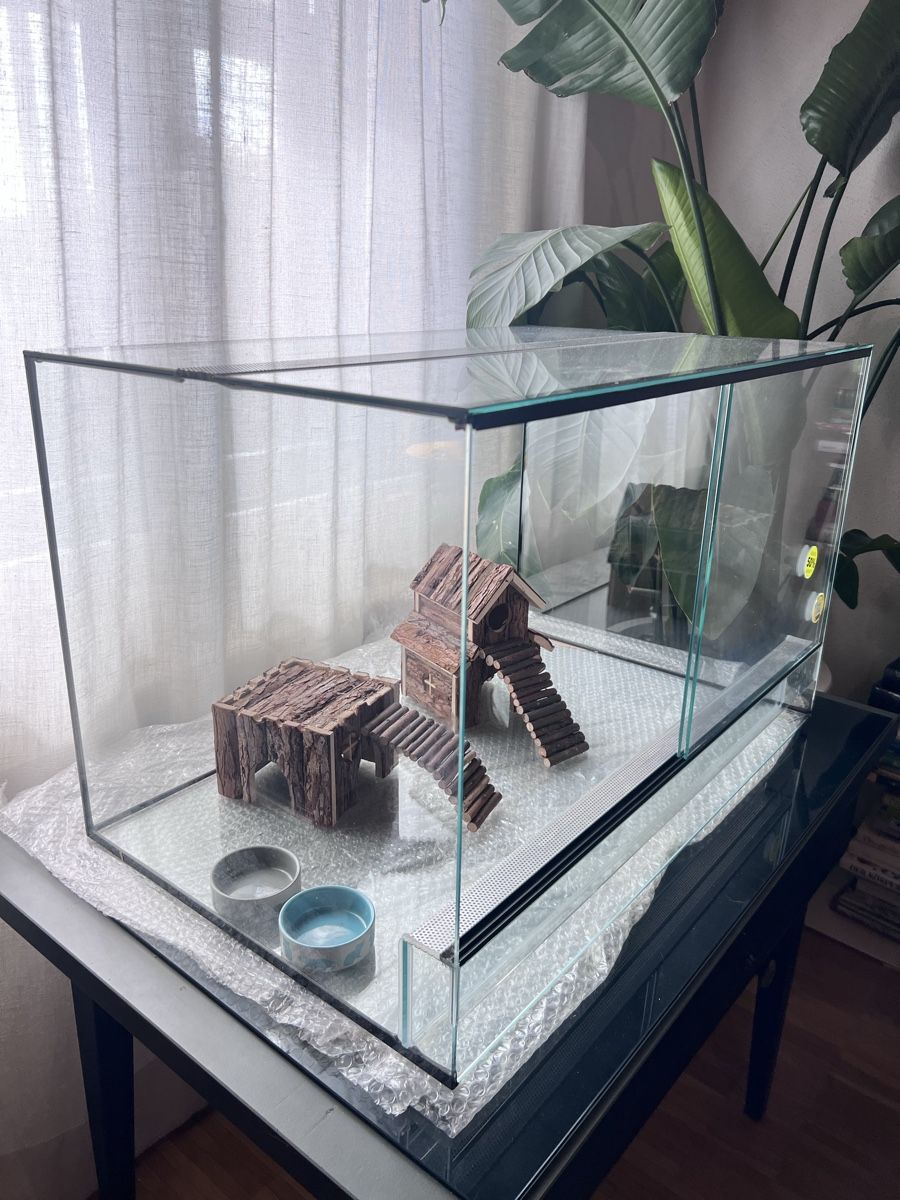 Terrario: Terrarium Neu – Nuovo e nell'imballaggio originale da zürich venduto da marc08