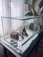 Terrarium Neu