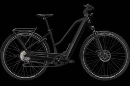NEU E-BIKE FLYER 25KM/H | 95NM & 625WH FIT PANASONIC