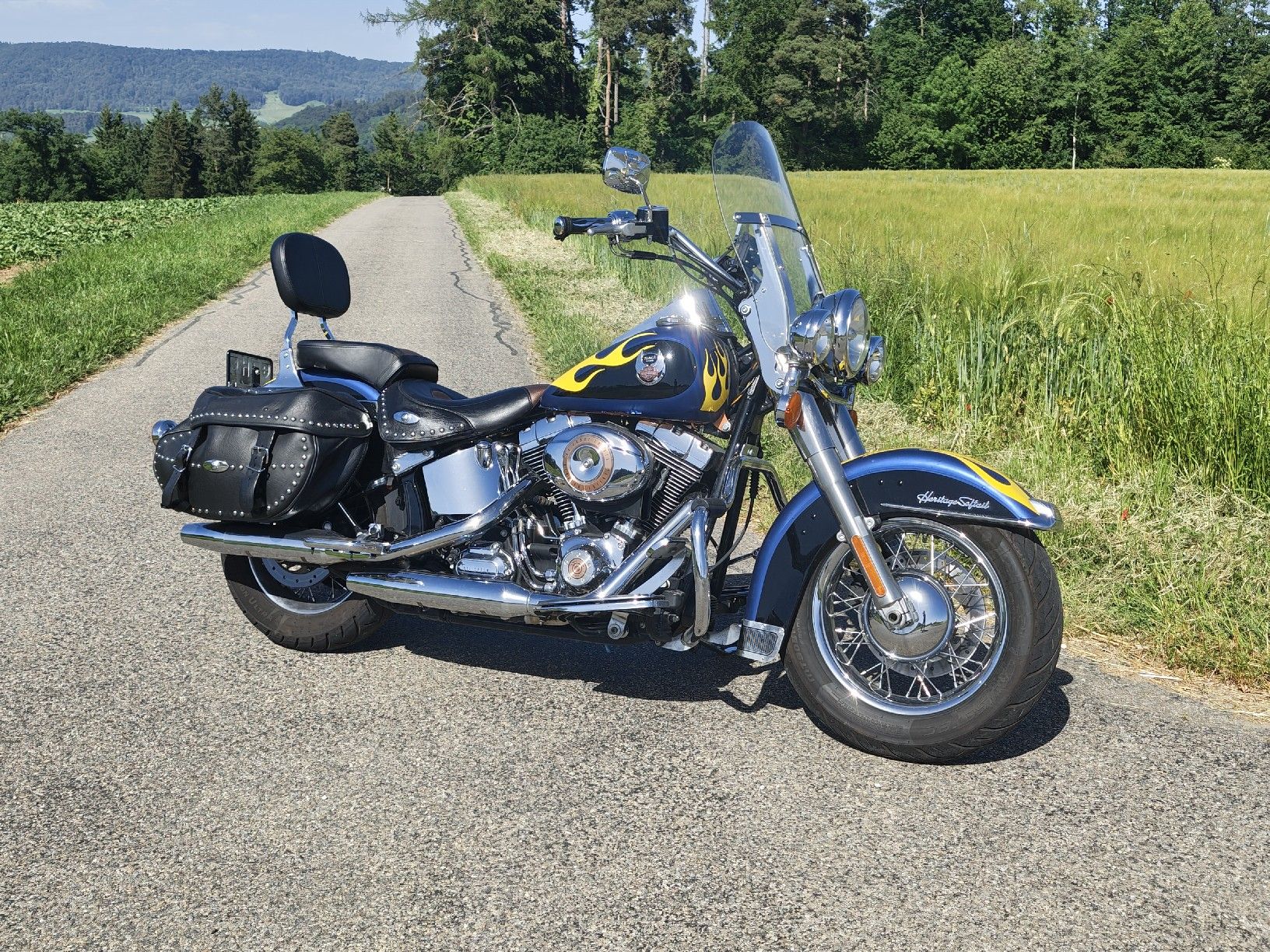 Harley-Davidson Chopper: Harley Davidson Softail classic, frisch ab service. – Gebraucht aus Lufingen von DannyT01