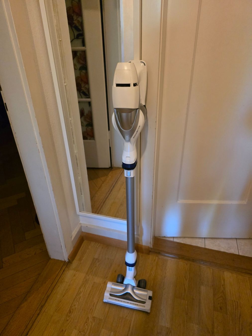 Rowenta Staubsauger & Zubehör: Akkustaubsauger - Rowenta Air Force 360 – Gebraucht aus Basel von rogermorse