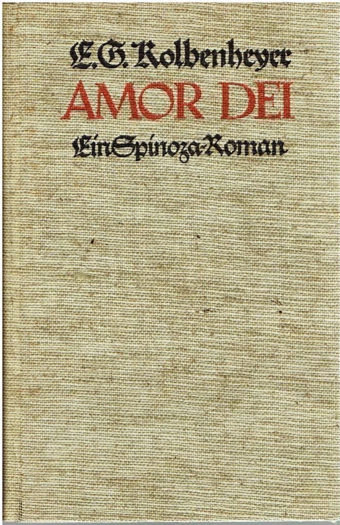 Bücher: AMOR DEI - Ein Spinoza-Roman – Gebraucht aus Flims - Dorf von Stagediver
