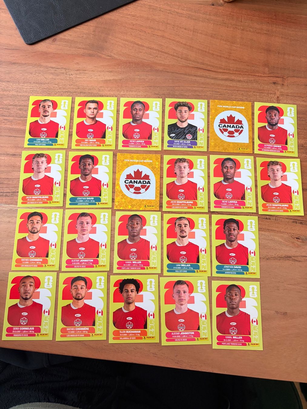 Panini Carte collezionabili: Panini Kanada – Usato da Solothurn venduto da rah_g92d