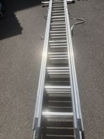 3x 12 Sprossen Leiter ab 1 STUTZ !