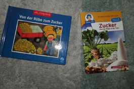 Von der Rübe zum Zucker