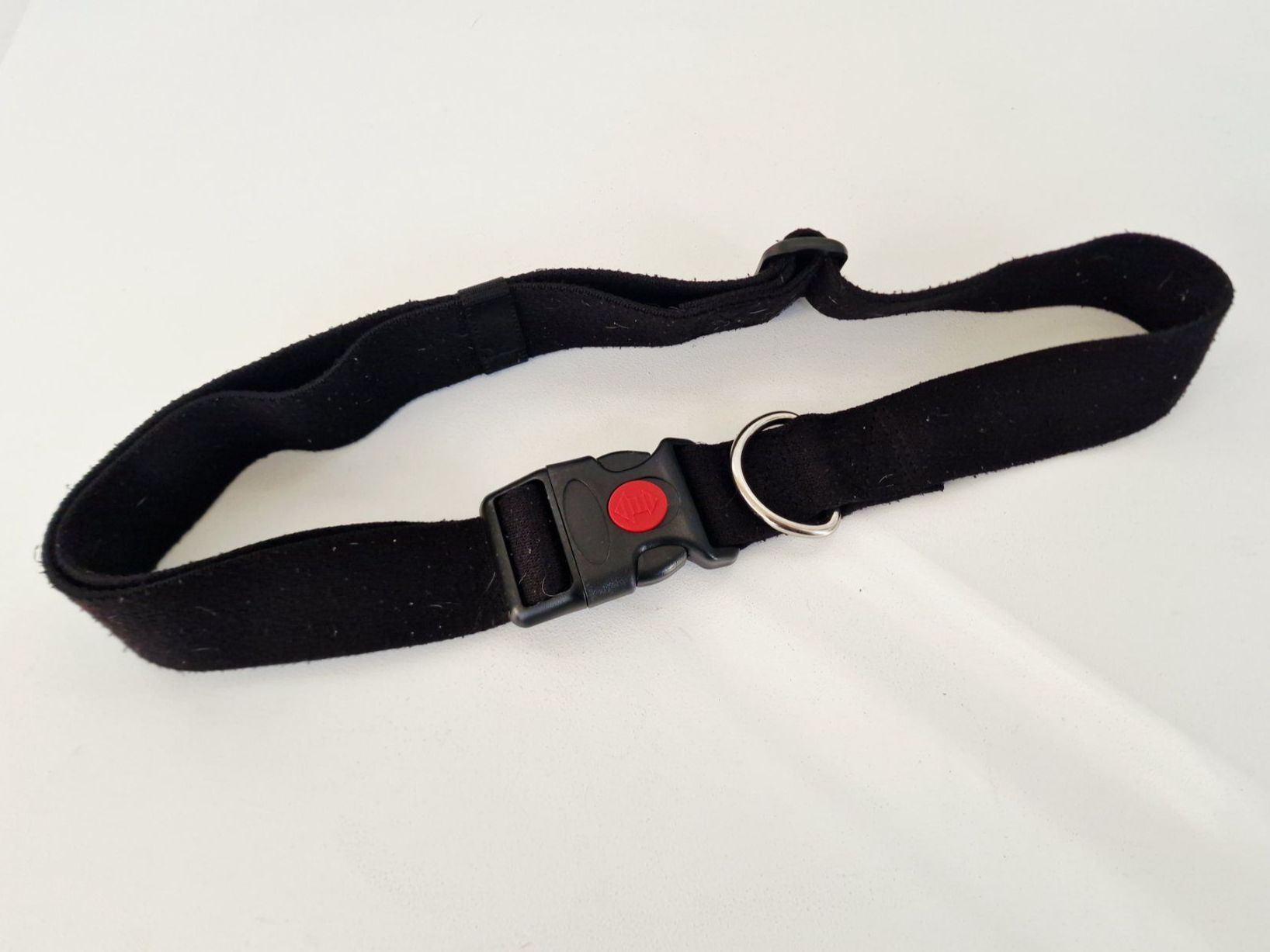 Guinzagli & Collari: Elastischer Jogginggurt für Anbringung Hundeleine – Usato da Hallau venduto da CHACLA