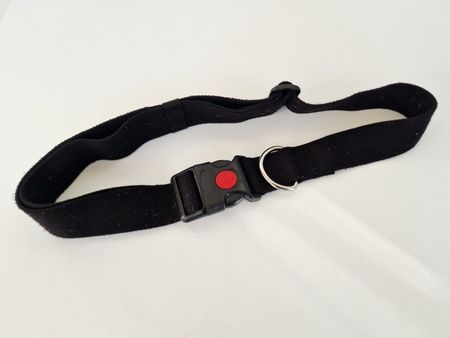 Elastischer Jogginggurt für Anbringung Hundeleine