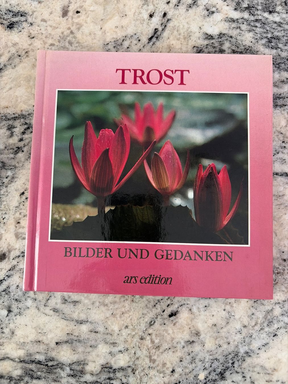 Libri: Buch mit Bildern und Gedanken, ars edition – Nuovo (secondo la descrizione) da Thalwil venduto da Sommerwende
