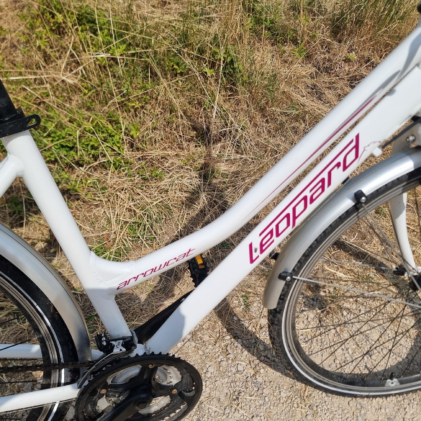 Leopard Velos: Fahrrad Grösse M 160-175  – Gebraucht aus Oberdorf BL von Schweiz83 1