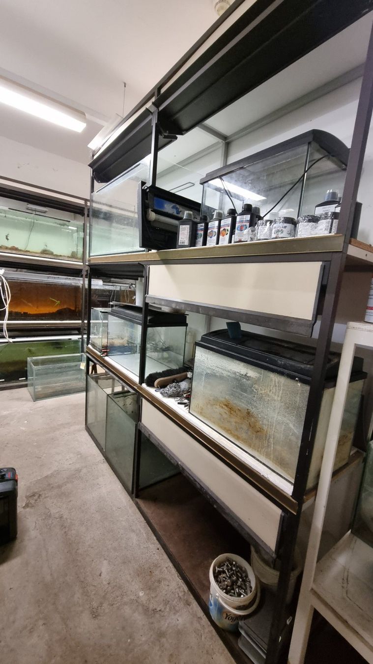 Scaffali: Aquarien- oder Terrarienregal auseinandergebaut – Usato da Oberentfelden venduto da Myri13 3