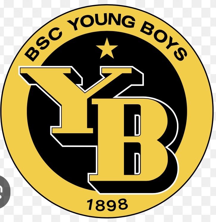 Echarpes: BSC Young Boys Schal – Neuf (Voir description) à Ittigen par Aida99 3