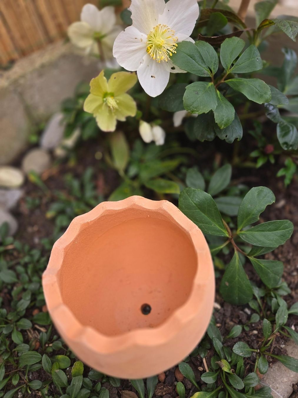 Vasi per fiori: Osterdeko Übertopf Ei aus Ton – Nuovo (secondo la descrizione) da Rheinsulz venduto da Dred 4