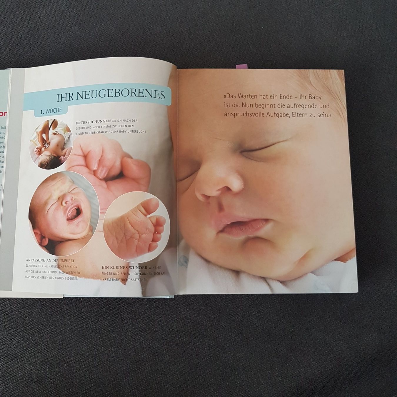 Bücher: Baby Ratgeber – Gebraucht aus Altishofen von Simba220 1