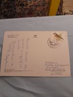 Carte Postale Vintage: Éphèse, Turquie - Voyage d'été!