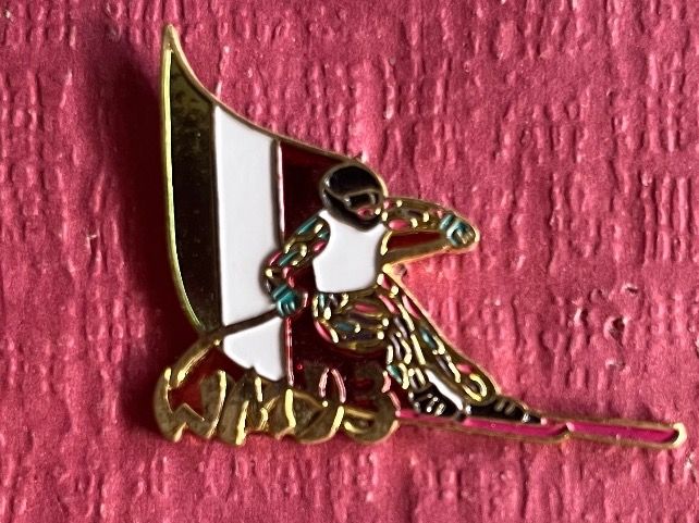 Ski WM 1993 Pin Kaufen auf Ricardo