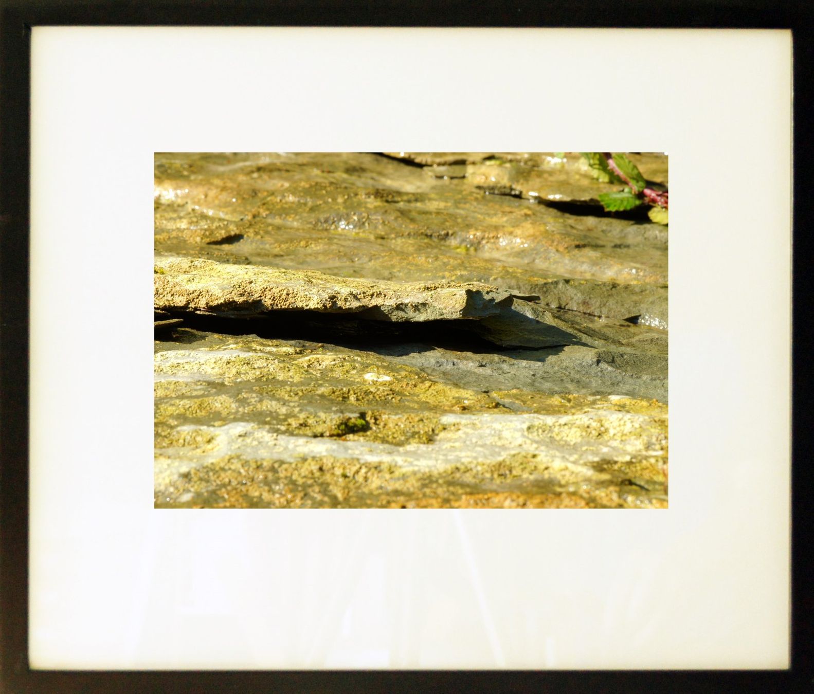 Poster & Bilder: Fotografie: Felsplatte – Neu (gemäss Beschreibung) aus Fribourg von erw_68dx