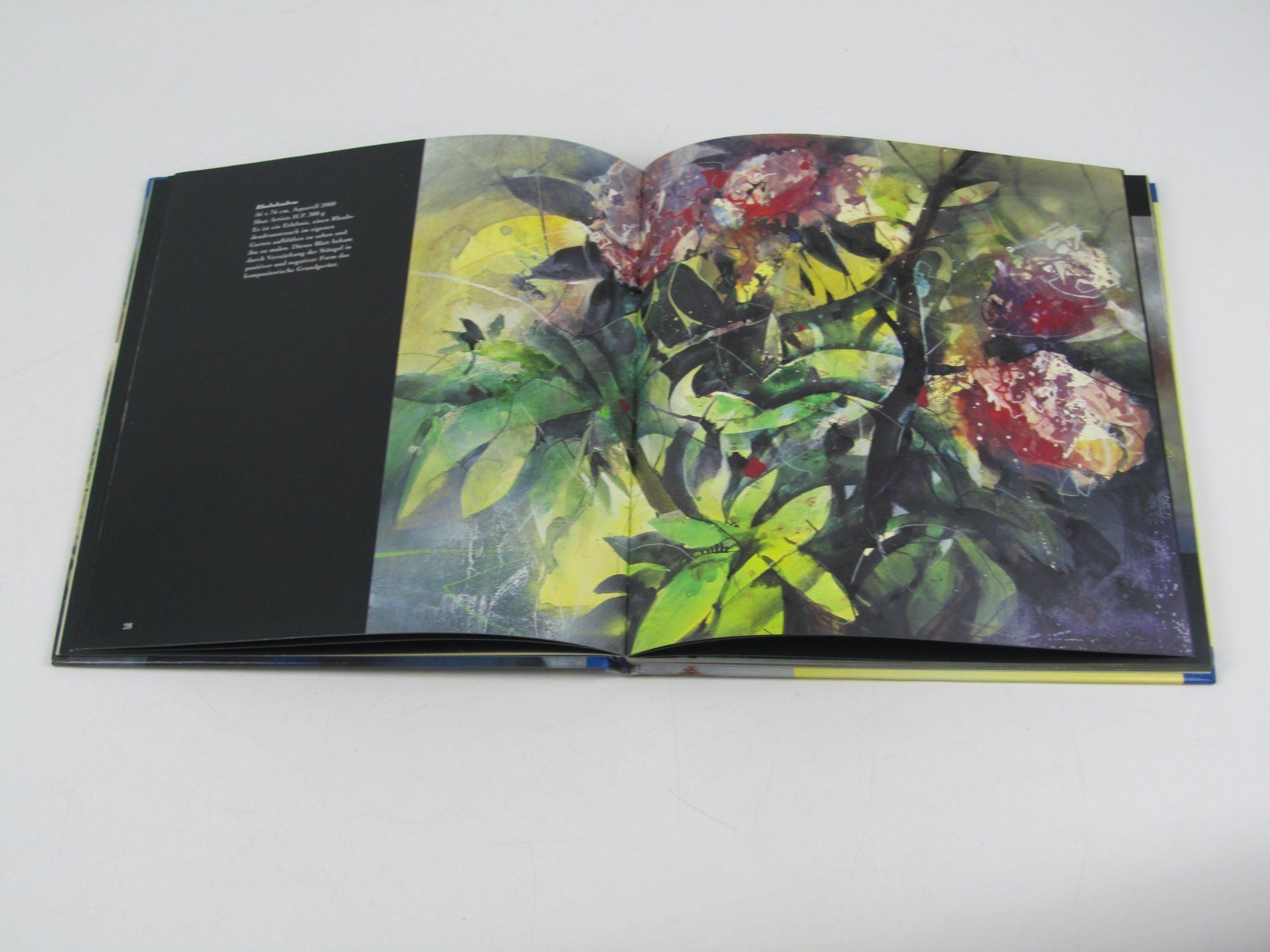 Libri: Blumen Aquarelle im Licht - Bernhard Vogel – Usato da Muhen venduto da Restwert_Muhen 4