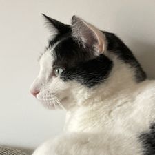 Profile image of Sil_77