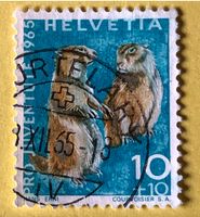 Nr.J 211 GESTEMPELT Alpenmurmeltier 1965   