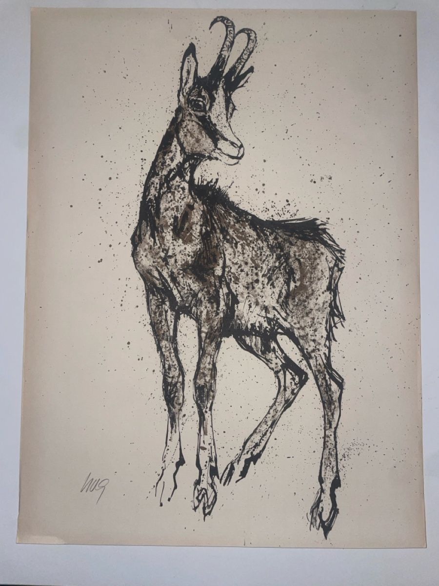 Grafica & Litografie: Fritz Hug - Gemse, signiert – Usato da Frenkendorf venduto da lau_8fff
