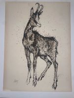 Fritz Hug - Gemse, signiert