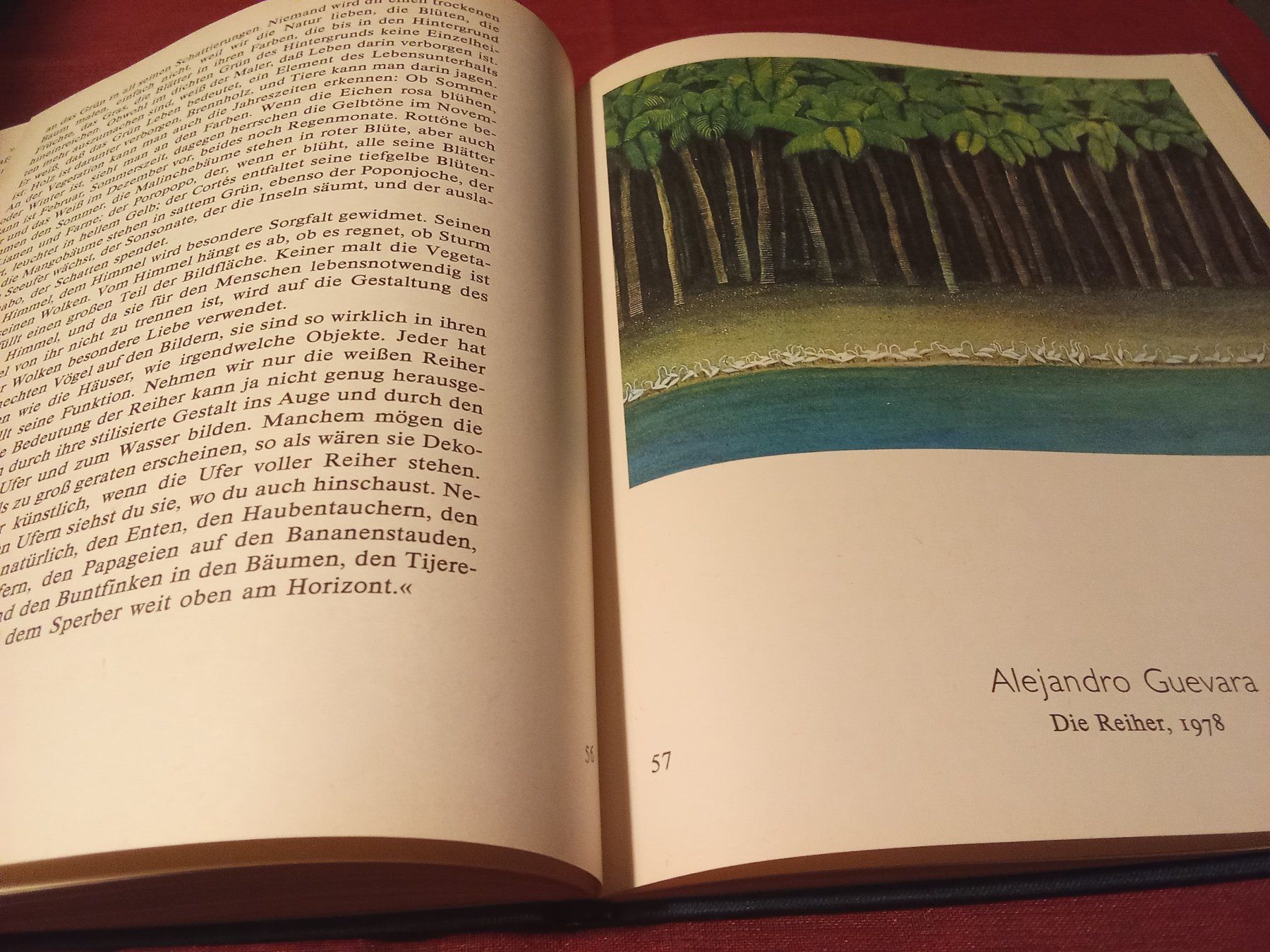 Libri: Gemalte Paradiese - Naive Kunst aus Solentiname – Usato da Remetschwil venduto da Privatflohmi 6