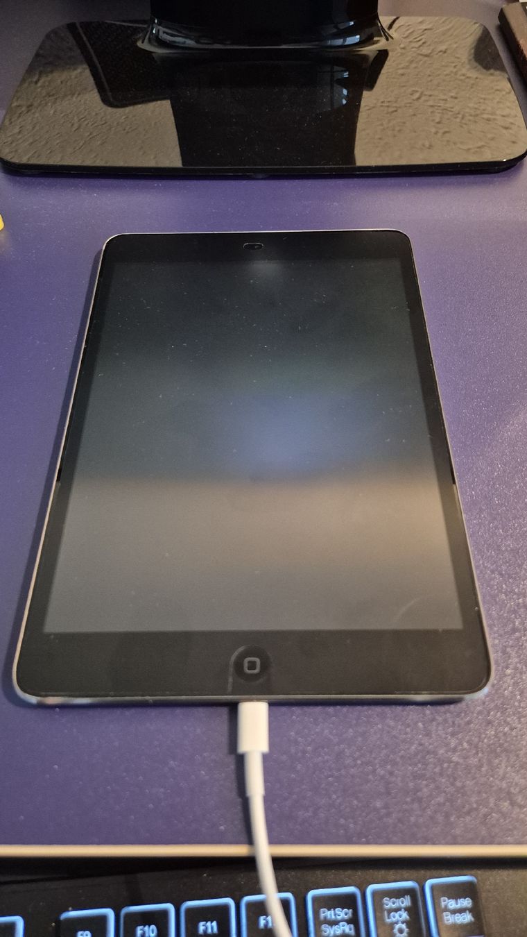 Apple Tablettes PC: Ipad Gen.1 – D'occasion à Bülach par Sacro