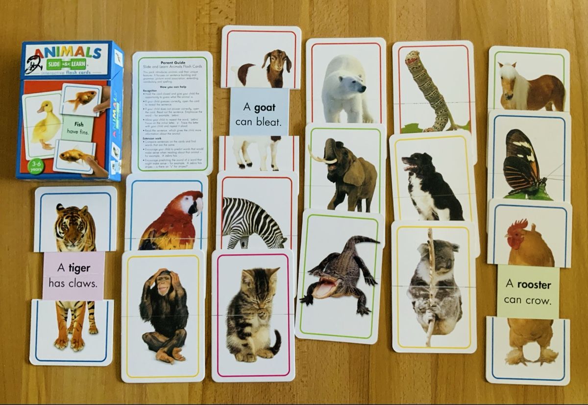 Spiele: Flashcards board signs educational bundle teaching resources – Gebraucht aus Lufingen von lotzstef 6