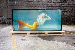 Grosses Aquarium 220x80x100