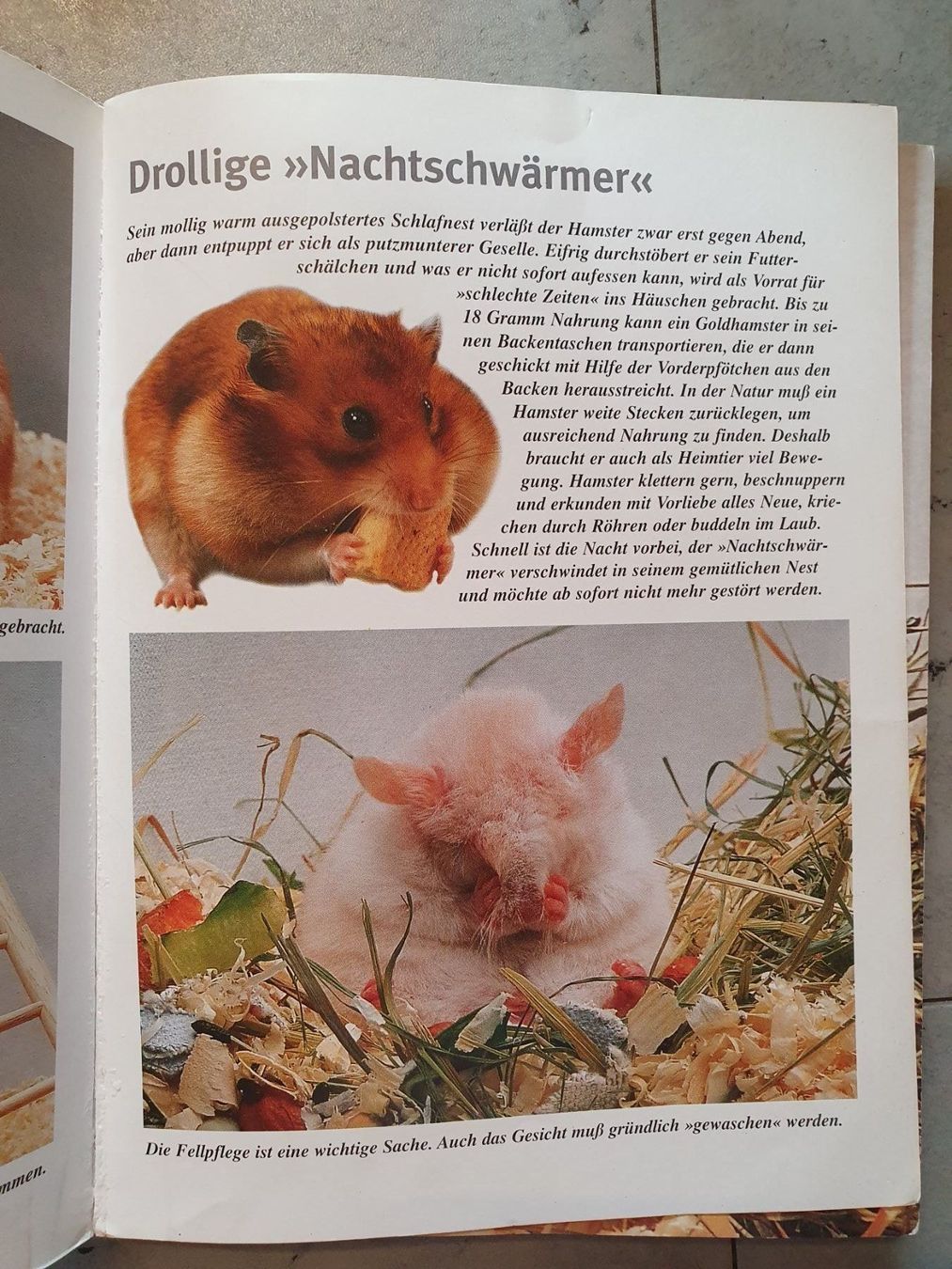 Bücher: Der Hamster – Gebraucht aus Moosseedorf von Sonnenschein.. 2