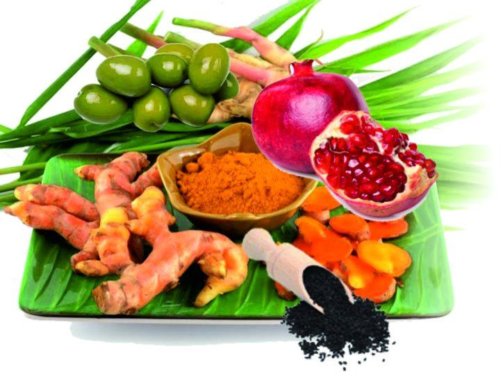 Lebensmittel & Spezialitäten: Curcumisan Plus - Fermentierte Kurkuma – Neu (gemäss Beschreibung) aus Mulhouse von Phytomisansuisse 4