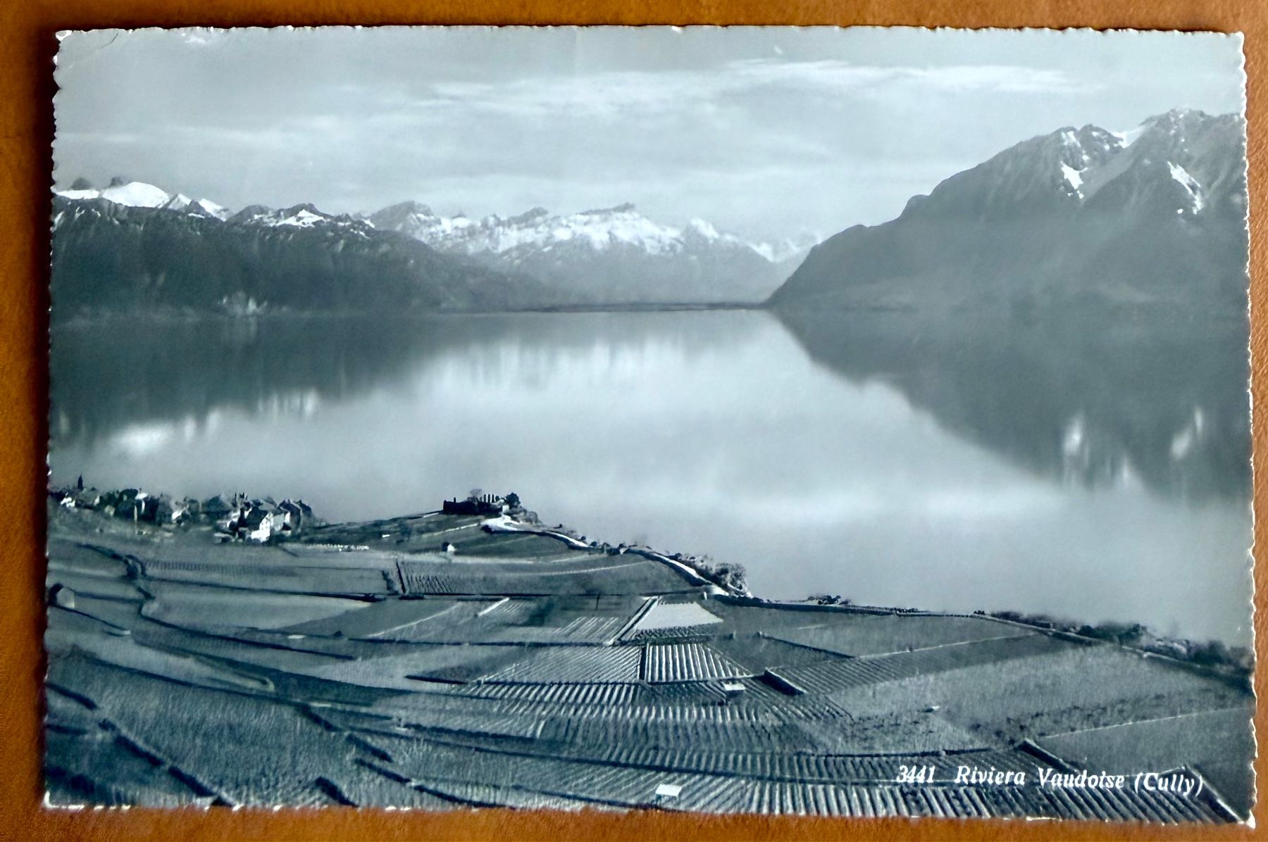 Cartoline postali: Rivaz - Lavaux - 1952 – Usato da Lutry venduto da Ediego