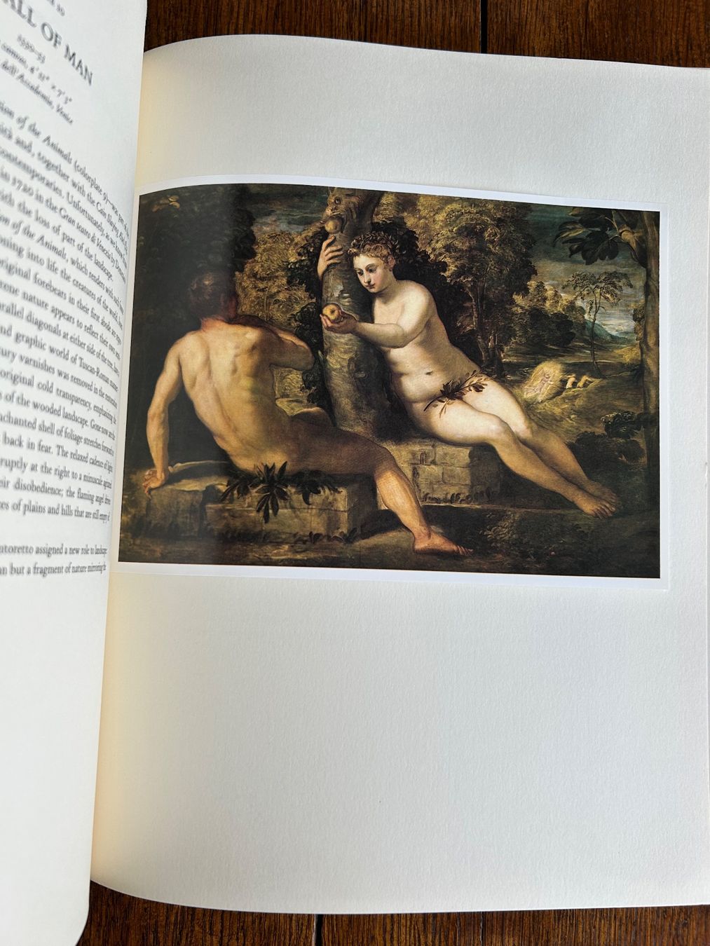 Bücher: Tintoretto – Gebraucht aus Basel von Peter_schlemihl 2