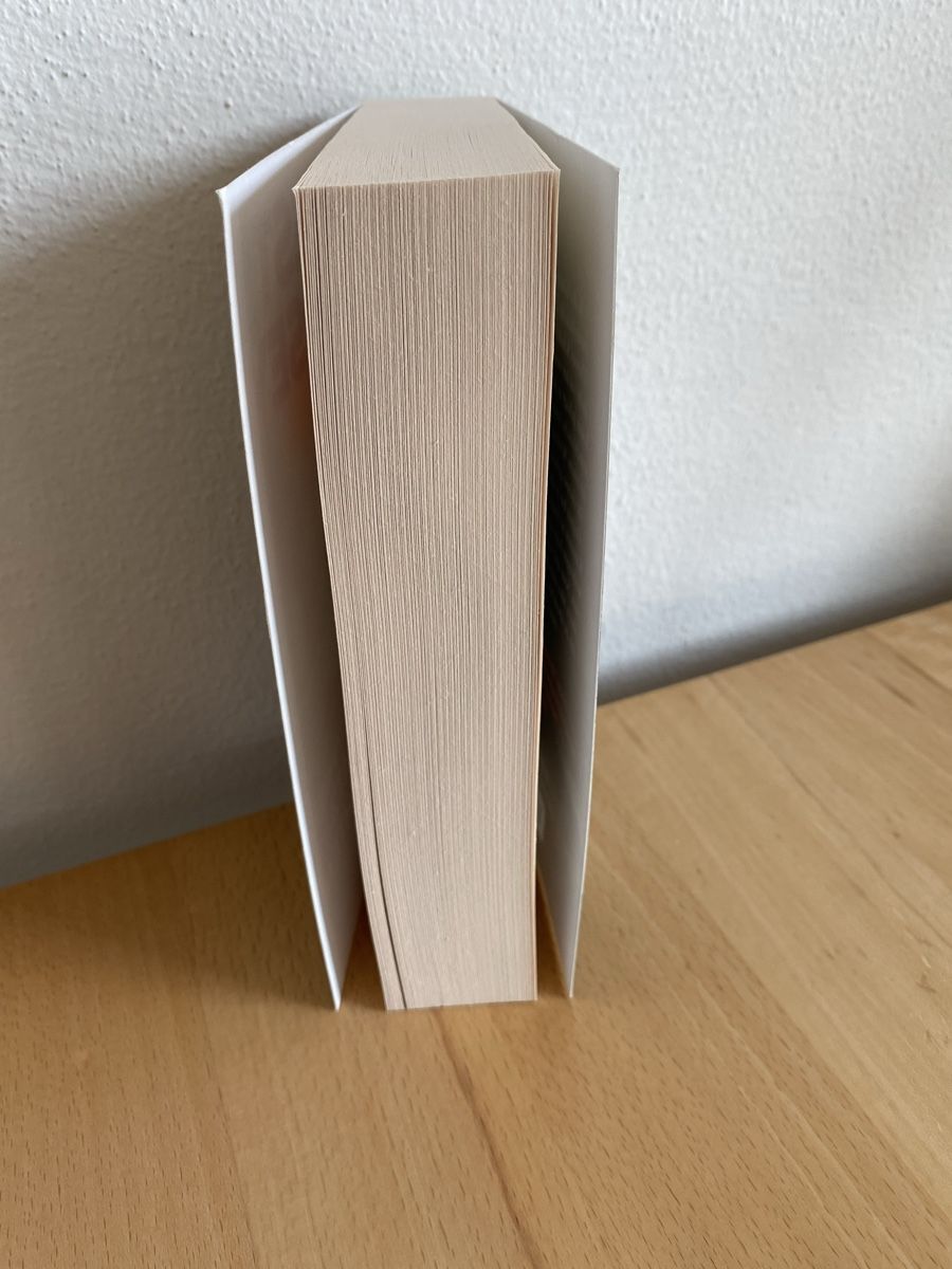 Libri: Der Schatz der Gerechten - Ernst Dempsey – Usato da Schwarzenburg venduto da Michellu 3