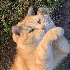 Profile image of Miki2020