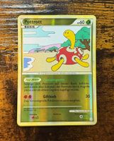 Pottrott Rare Reverse Holo 11