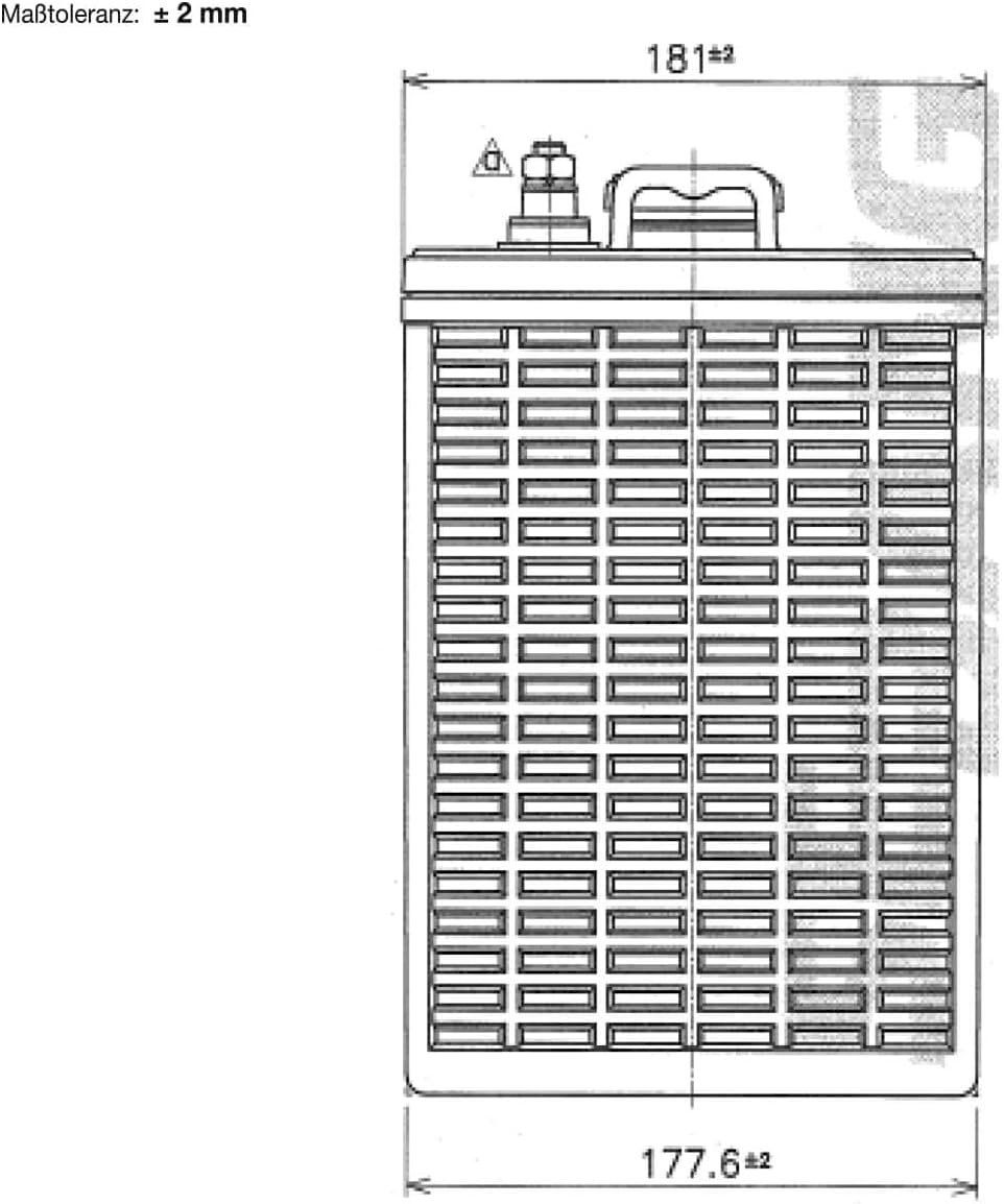 Caricatori & Batterie: BIG E-Drive 8V 170Ah Traktionsbatterie – Nuovo e nell'imballaggio originale da Bottighofen venduto da zaap 5