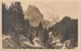 AB 205 Rosenlaui mit Wellhorn und Wetterhorn, 1917
