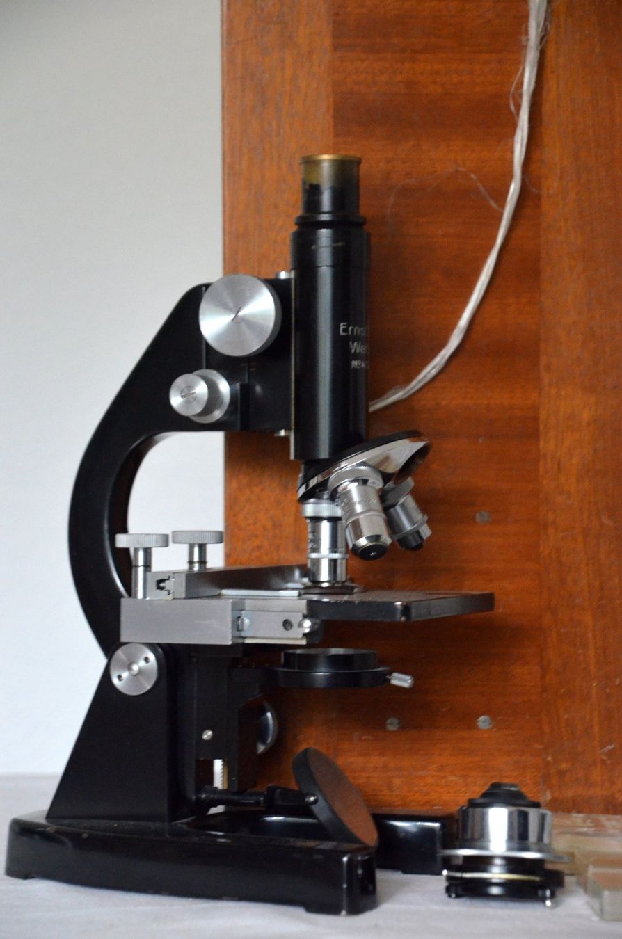 Leitz Microscopi: Ernst Leitz Wetzlar Mikroskop / microscope – Usato da Collonges venduto da arashee 7