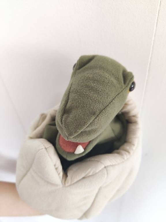 Libri: Folkmanis Dinosaurier-Baby – Usato da Flüelen venduto da pri_7p8g 2