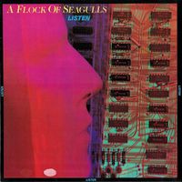 A Flock Of Seagulls – Listen