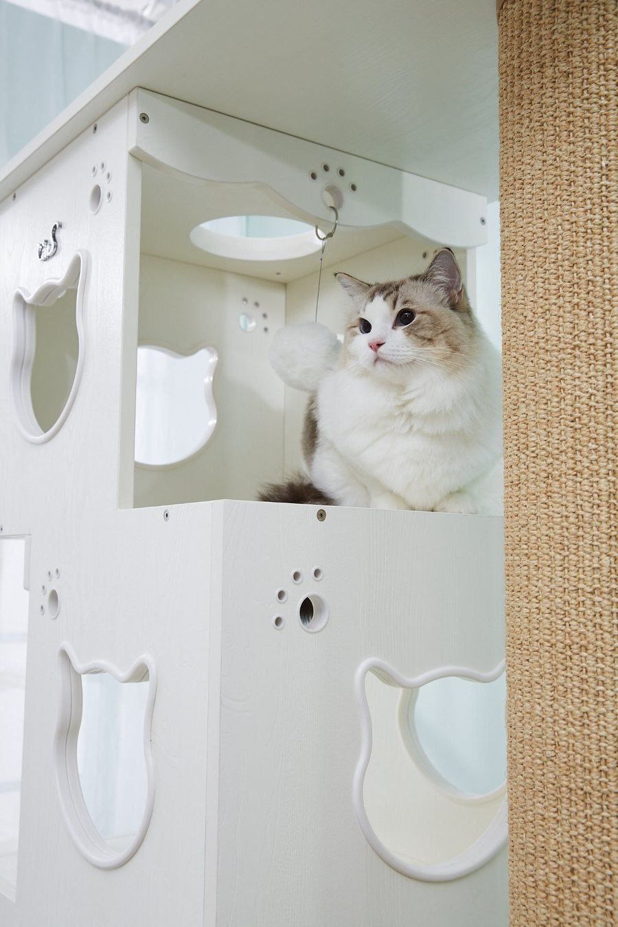 Katzenbaum - Kratzbaum: CatS Design 2 in 1 Kratzbaum & Katzenklo – Neu und originalverpackt aus Mönchengladbach von Zoopplier 5